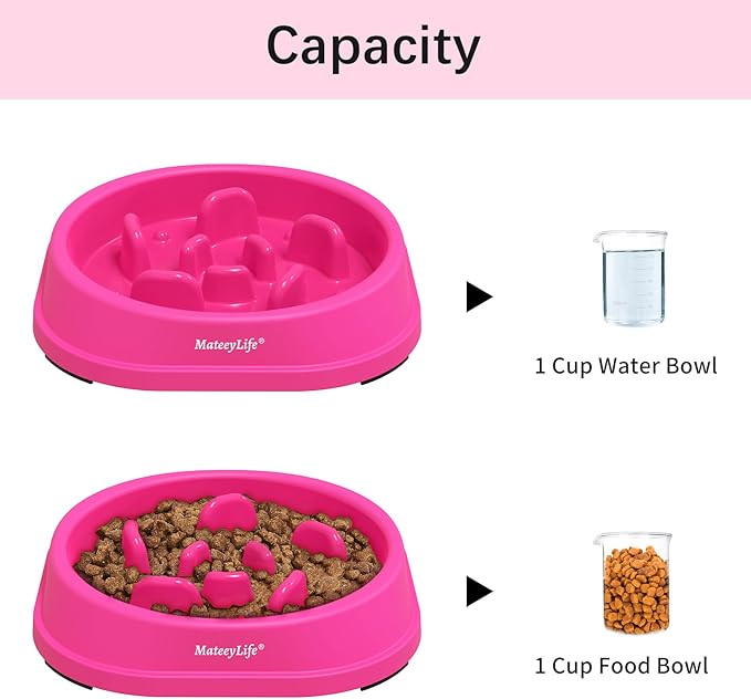 MateeyLife Small Slow Feeder Cat Bowls, Anti-Choking Puzzle Cat Food Bowls - Image 5