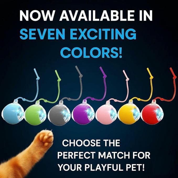 2026 New 2Pack Cat Ball Kitten Toys - Image 5