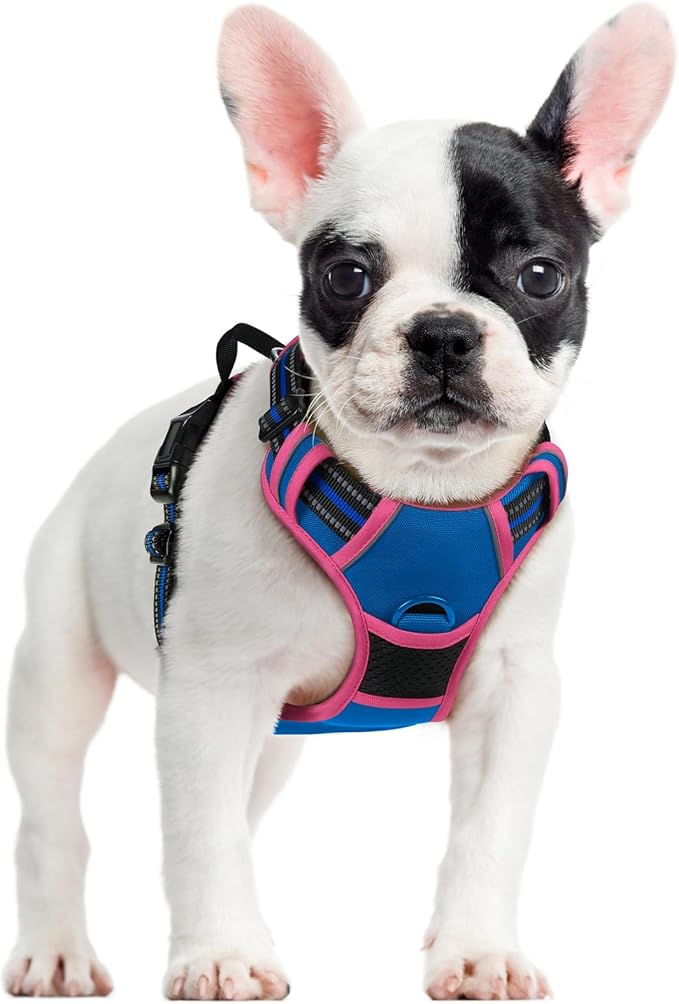 rabbitgoo Dog Harness No Pull by rabbitgoo