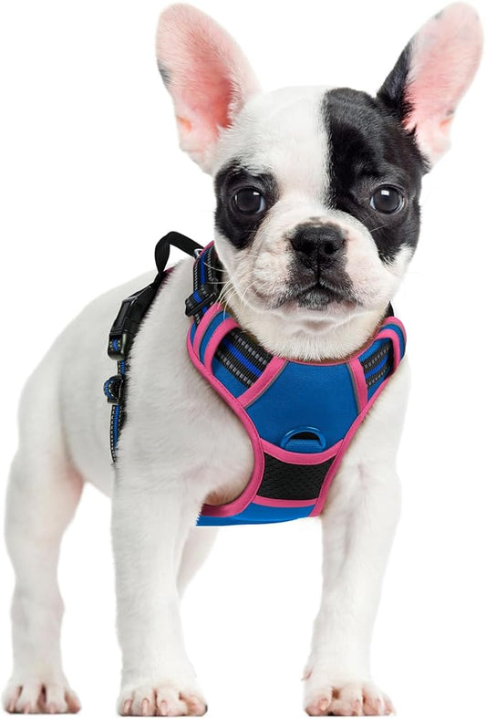 rabbitgoo Dog Harness No Pull by rabbitgoo