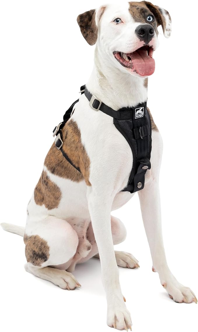 Kurgo Enhanced Strength Tru-Fit Dog Car Harness by Kurgo