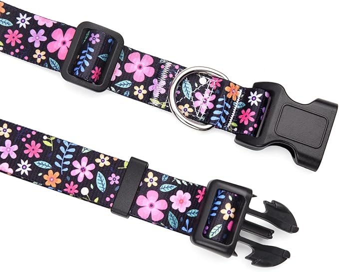 Mihqy Dog Collar and Leash Set - Image 2