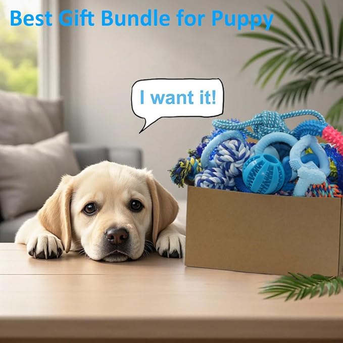 Beiker 20 Pack Puppy Chew Toys - Image 6