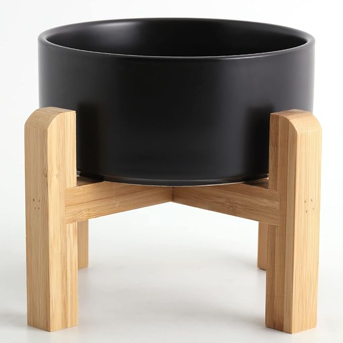 Petygooing Black Elevated/Raised Ceramic Dog Bowl by PetygooingforYOURLOVEDPET