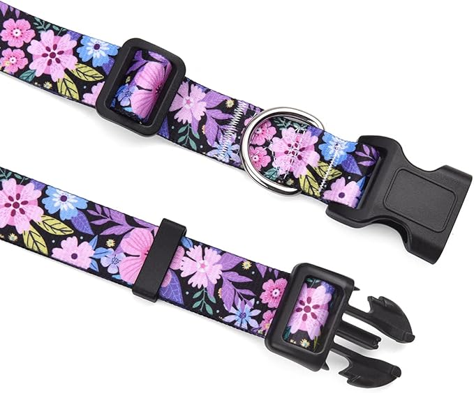 Mihqy Dog Collar and Leash Set - Image 2