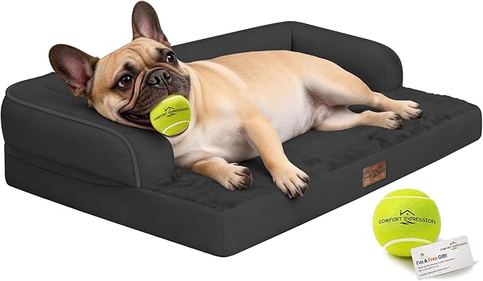 Comfort Expression Memory Foam Dog Bed by ComfortExpression