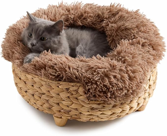 Cat Luxury Cat Bed for Indoor Cats, Plush Furniture for Comfort and Relaxation by Unknown