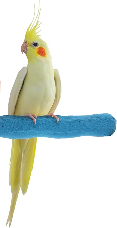 Sweet Feet and Beak Comfort Grip Safety Perch by SweetFeetBeak