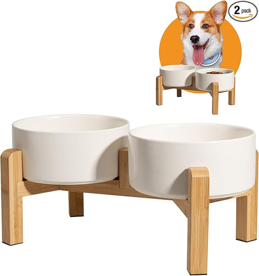 Elevated Ceramic Dog Bowl Set by PTOBER