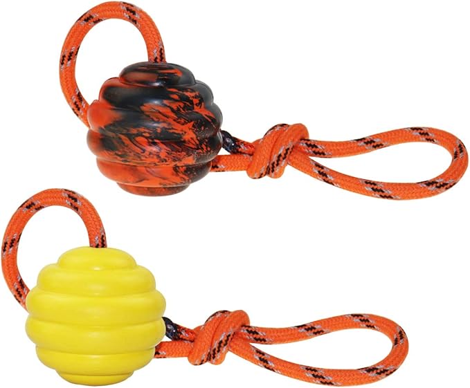 K9 Training Ball with Rope, Exercise and Reward Toy by Nevperish