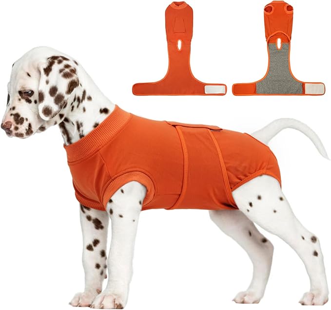 FUAMEY Dog Recovery Suit Male, Dogs Surgery Neuter Suits Puppy Spay Shirts by FUAMEY