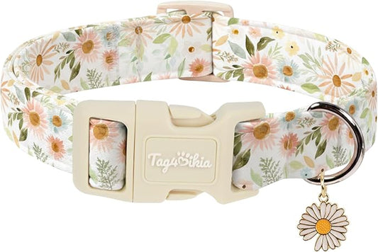 Floral Dog Collar, Spring Summer Cute Daisy Print by Unknown