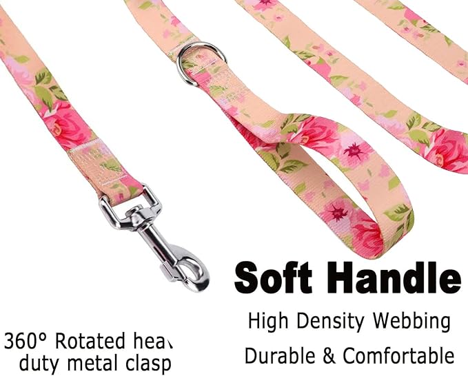 Mihqy Dog Collar and Leash Set - Image 4