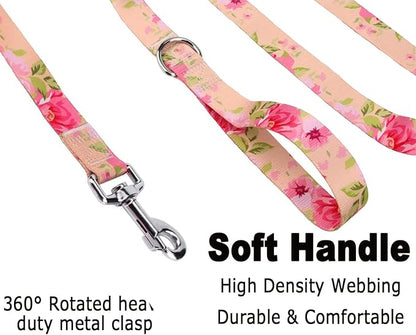 Mihqy Dog Collar and Leash Set - Image 4