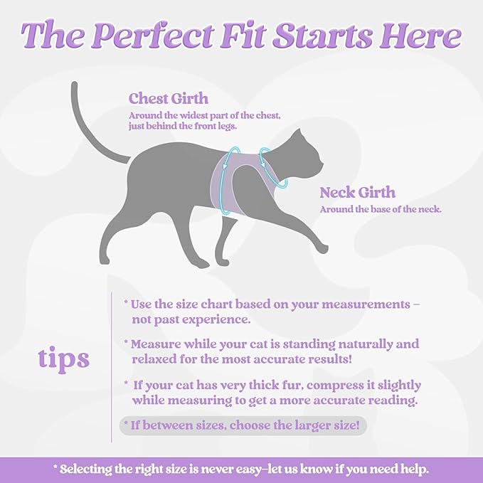 rabbitgoo Cat Harness and Leash, Step-in Escape Proof Kitten Harness Set - Image 2