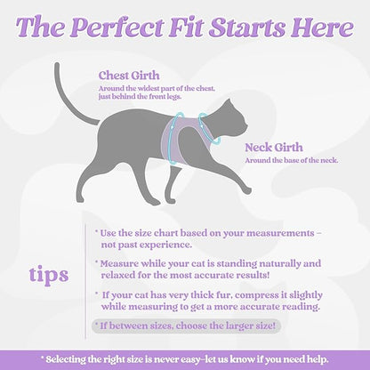 rabbitgoo Cat Harness and Leash, Step-in Escape Proof Kitten Harness Set - Image 2
