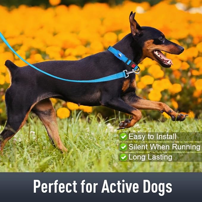 AirTag Dog Collar with AirTag Holder Compatible - Image 3