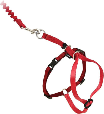 PetSafe Come with Me Kitty Harness and Bungee Leash Adjustable, Lightweight by PetSafe