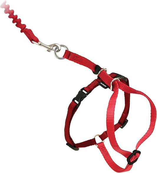 PetSafe Come with Me Kitty Harness and Bungee Leash Adjustable, Lightweight by PetSafe