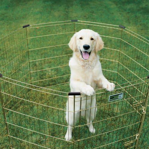 MidWest Homes for Pets 30-Inch Exercise Pen, for Indoor and Outdoor Use - Image 3
