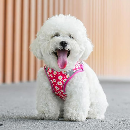 Step in Dog Harness and Leash Set, Flower Adjustable Easy Walk Puppy Harnesses - Image 4