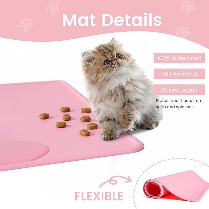 Double Elevated Dog Cat Food Water Bowls, Stainless Steel Cat Food Water Bowl - Image 8