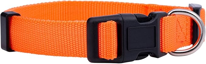 Native Pup Basic Nylon Dog Collar, Adjustable by NativePup