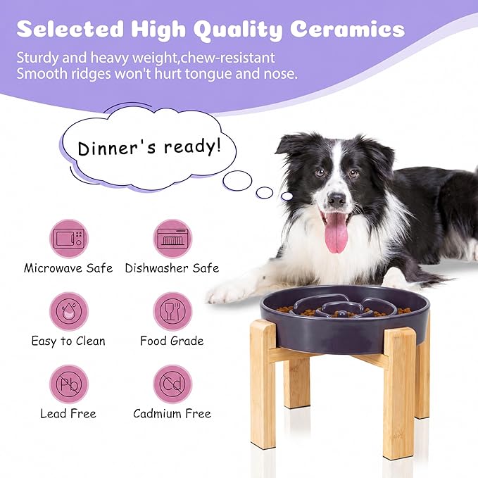 Elevated Slow Feeder Dog Bowl Large Breed, 8.8 Inch Ceramic Slow Eating Bowl - Image 4