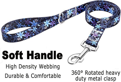 Mihqy Dog Collar and Leash Set - Image 4