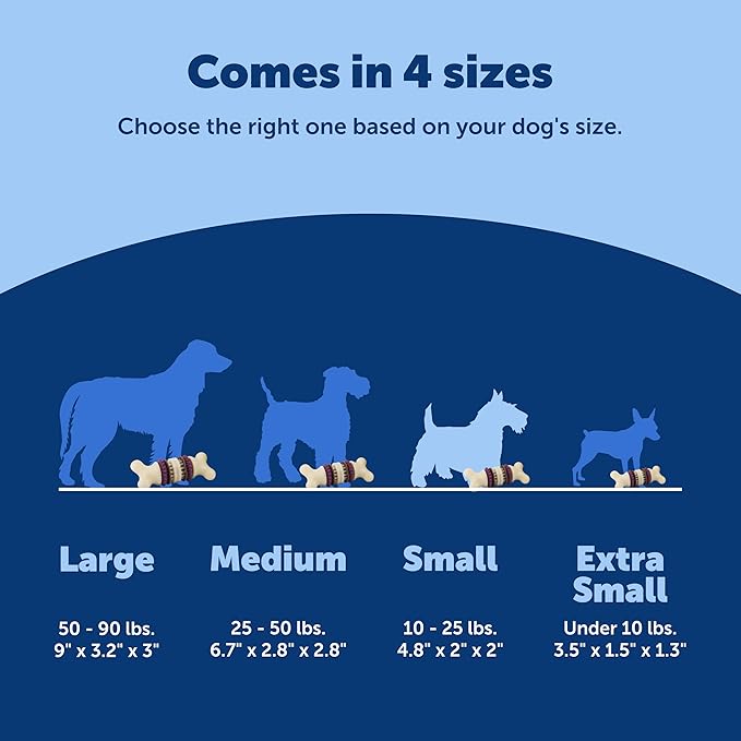 PetSafe Busy Buddy Bristle Bone Dog Chew Toy - Image 5