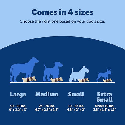 PetSafe Busy Buddy Bristle Bone Dog Chew Toy - Image 5