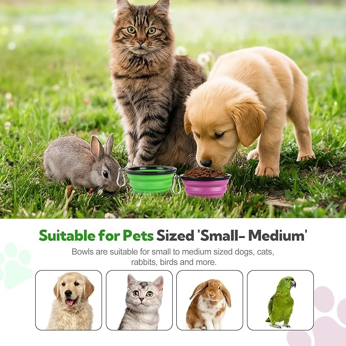 Collapsible Dog Bowl 2 Pack, Dog Water Bowls - Image 7