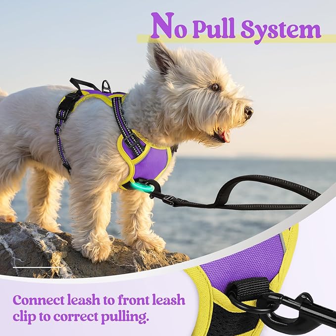rabbitgoo Dog Harness No Pull - Image 5