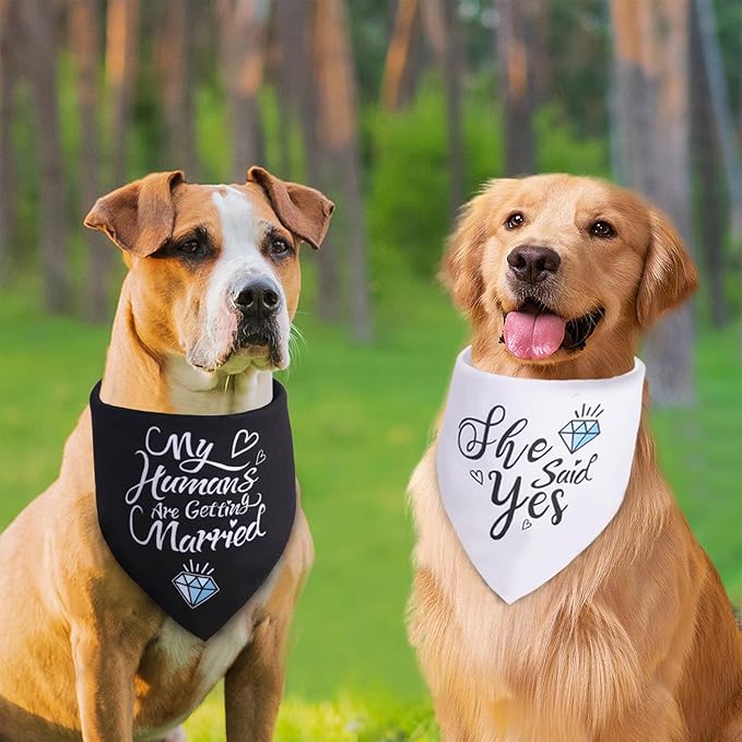 Engagement Gifts, My Humans are Getting Married She Said Yes Dog Bandana Large - Image 3