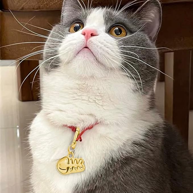 Dogs ID Tags Personalized Double Sided Deep Engraved Cat & Dog Collar Charm - Image 2