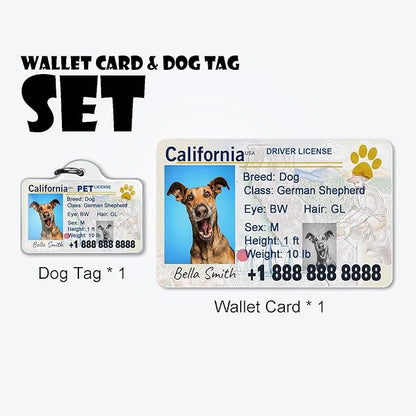 Dog License Tag Custom Pet Driver License ID Tags Dog Name Tags Personalized - Image 2