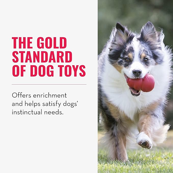 KONG Classic Stuffable Dog Toy - Image 5