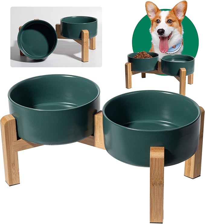 Elevated Ceramic Dog Bowl Set by PTOBER
