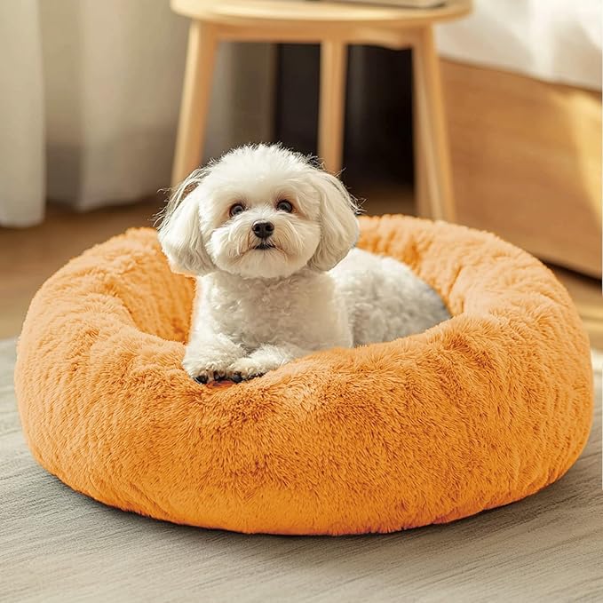 JOLLYVOGUE Dog & Cat Bed, Calming Anti-Anxiety Pet Bed by JOLLYVOGUE