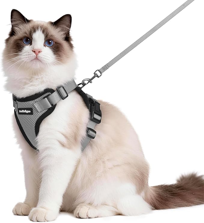rabbitgoo Cat Harness and Leash Set, Escape Proof Vest Harness by rabbitgoo