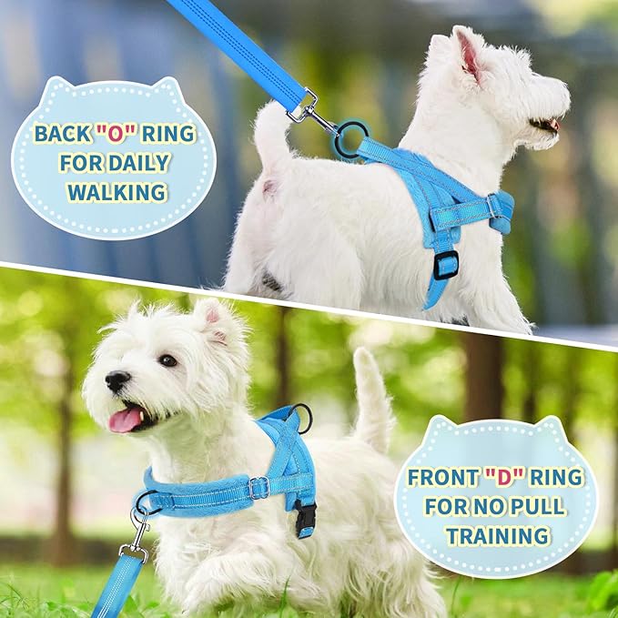 Lukovee No Pull Dog Harness and Leash Set, Soft Padded Small Dog Harness - Image 7