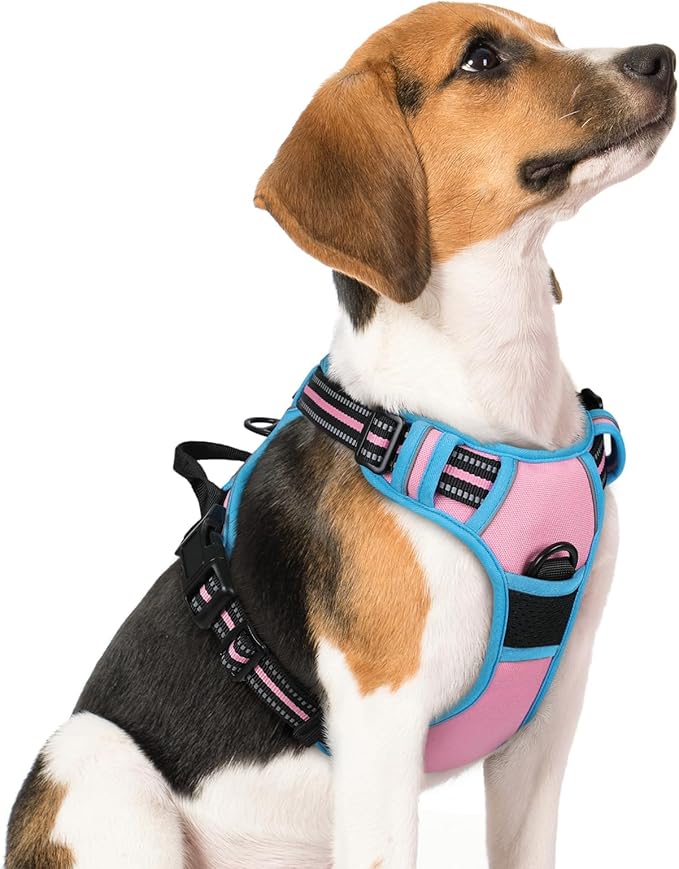 rabbitgoo Dog Harness No Pull by rabbitgoo