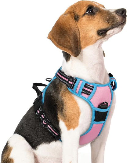 rabbitgoo Dog Harness No Pull by rabbitgoo