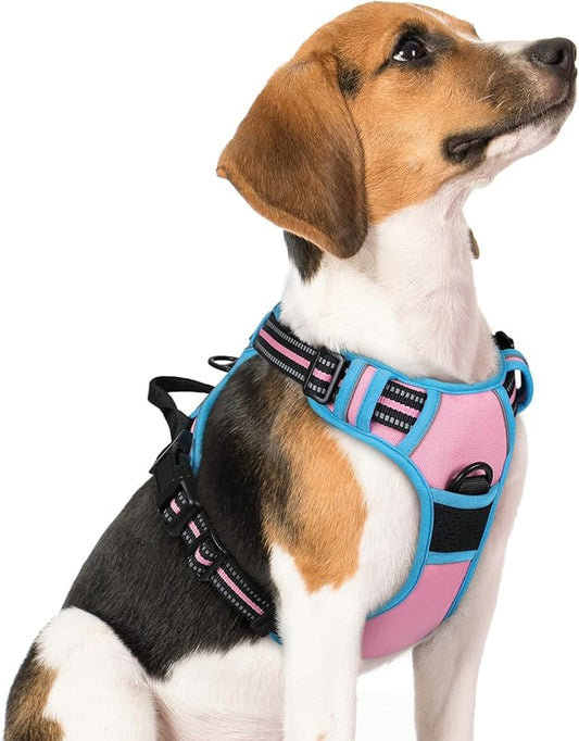 rabbitgoo Dog Harness No Pull by rabbitgoo