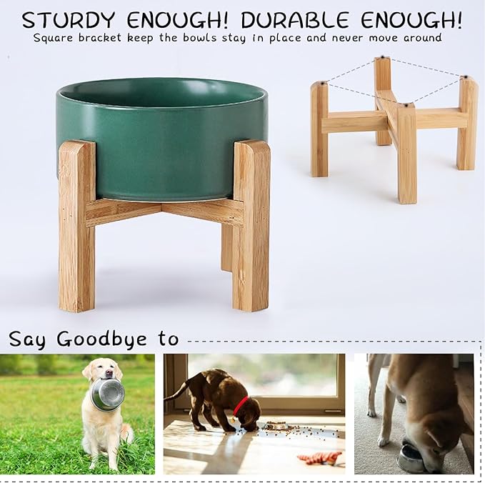 Petygooing Green Elevated/Raised Ceramic Dog Bowl - Image 4