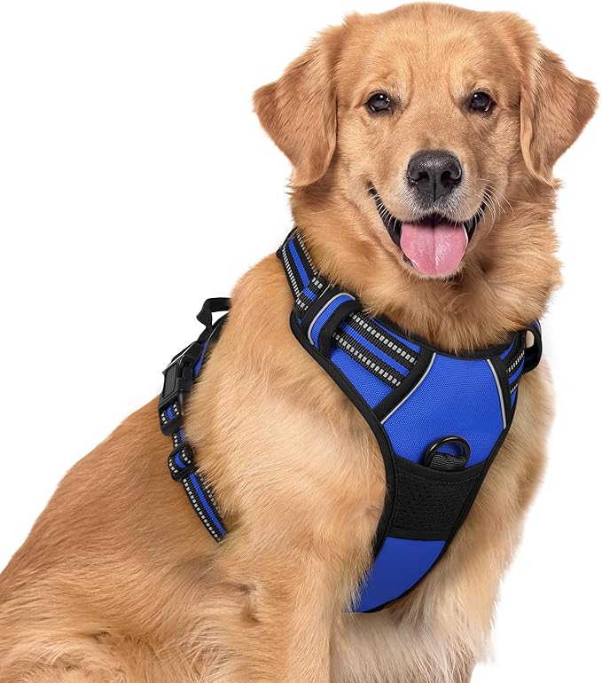 rabbitgoo Dog Harness No Pull by rabbitgoo