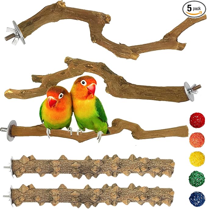 kathson 5pcs Natural Parrot Perch by kathson