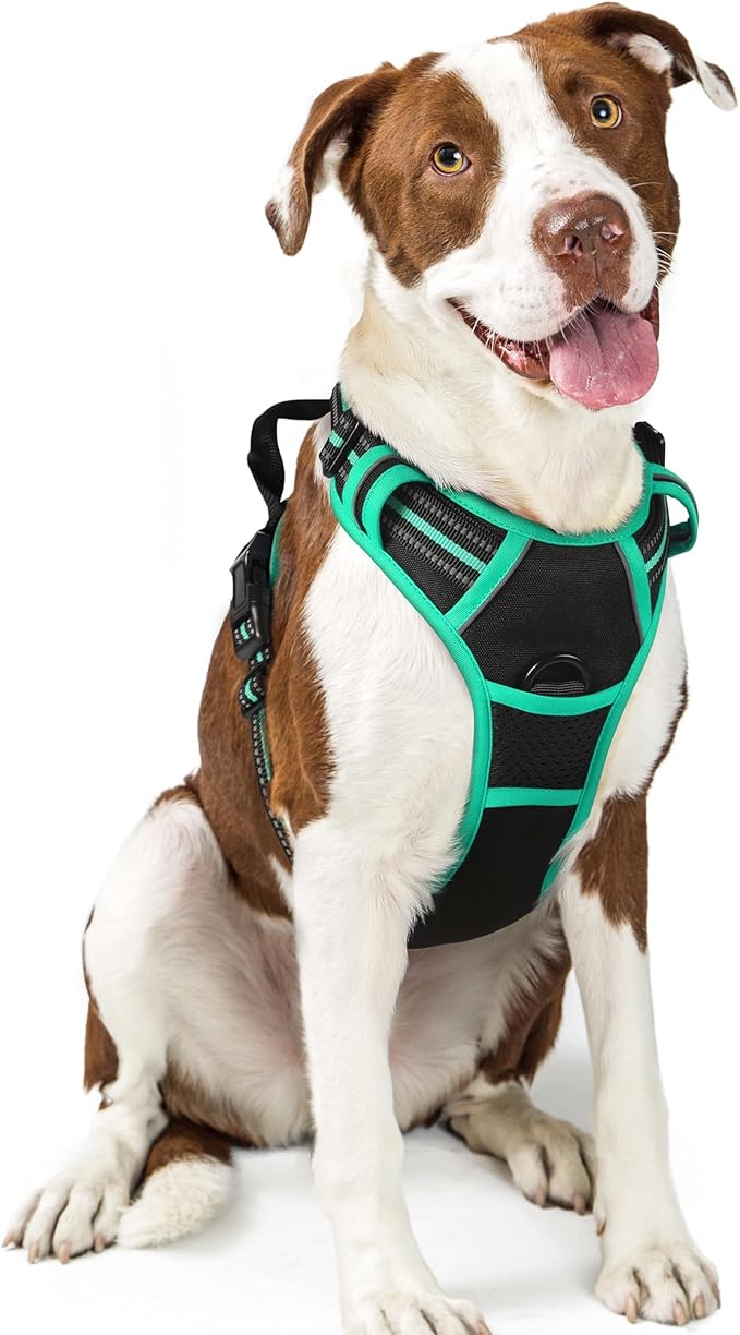 rabbitgoo Dog Harness No Pull by rabbitgoo