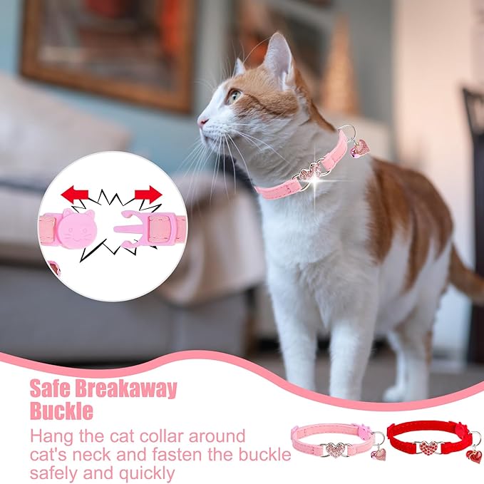 EXPAWLORER Soft Velvet Safe Cat Collars - Image 4