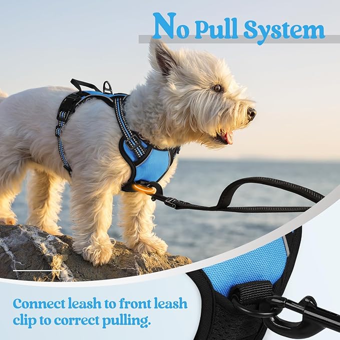 rabbitgoo Dog Harness No Pull - Image 5